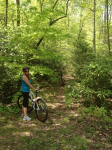 North Mills River mountain biking trails.